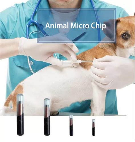 implant rfid tags for pets|microchip testing for pets.